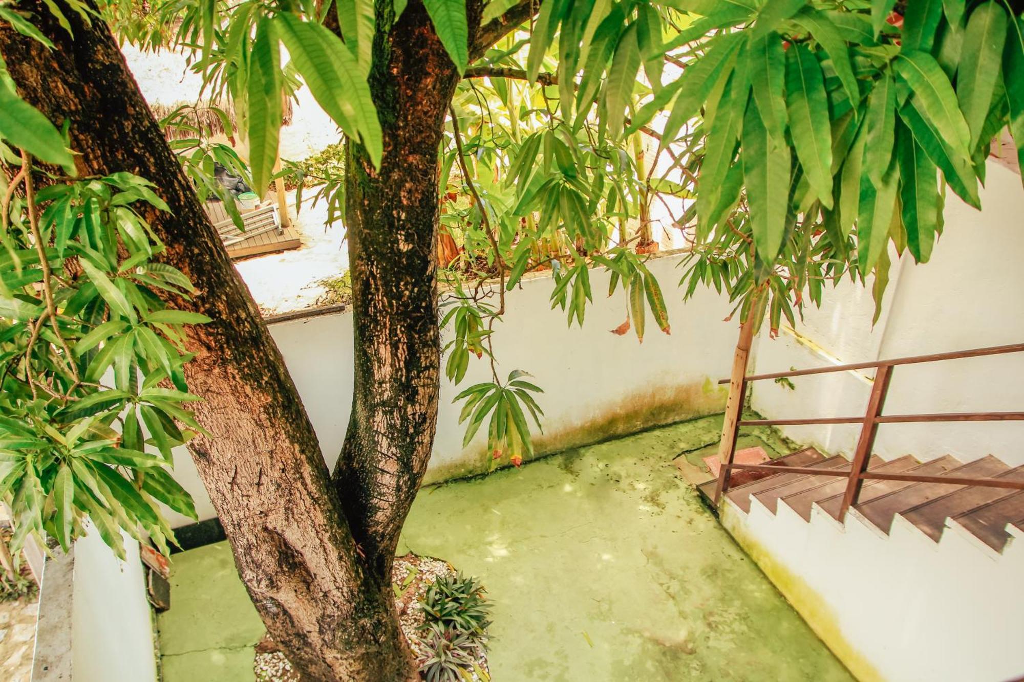 Go Pipa Inn Praia de Pipa エクステリア 写真